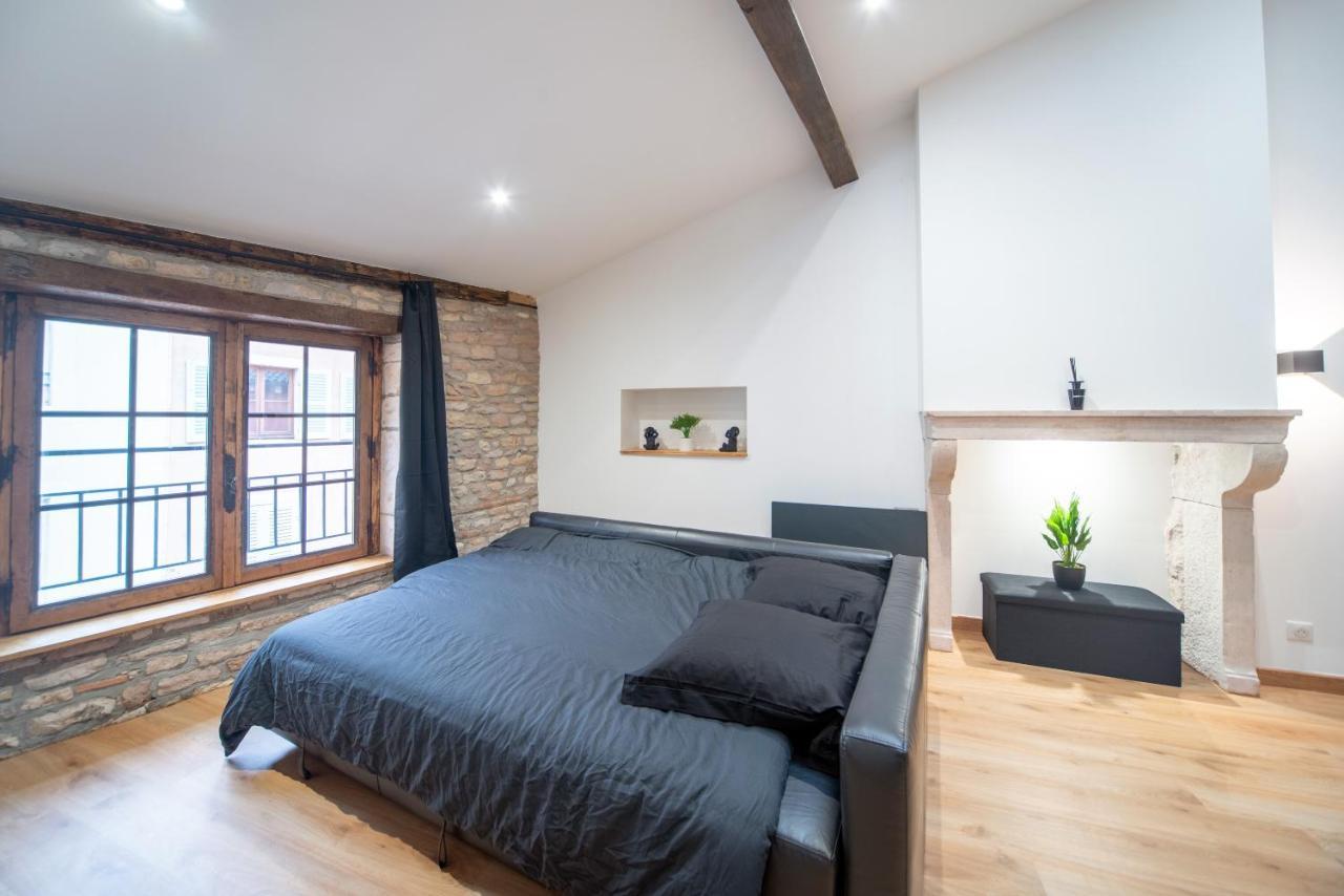 Loft Au Coeur Du Centre Ville Mâcon Zewnętrze zdjęcie